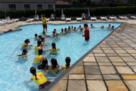 PROJETO GOLFINHO EM JARAGUÁ DO SUL